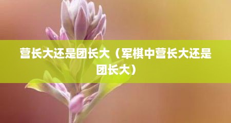 营长大还是团长大（军棋中营长大还是团长大）