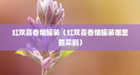 红双喜香烟罐装（红双喜香烟罐装哪里能买到）