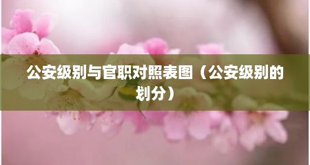 公安级别与官职对照表图（公安级别的划分）