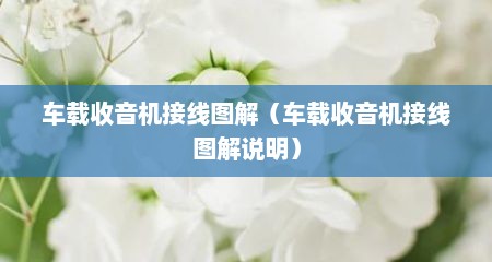 车载收音机接线图解（车载收音机接线图解说明）