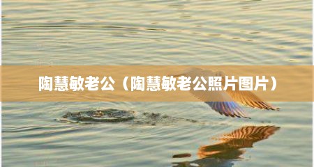 陶慧敏老公（陶慧敏老公照片图片）