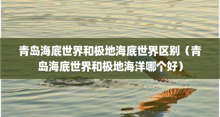 青岛海底世界和极地海底世界区别（青岛海底世界和极地海洋哪个好）