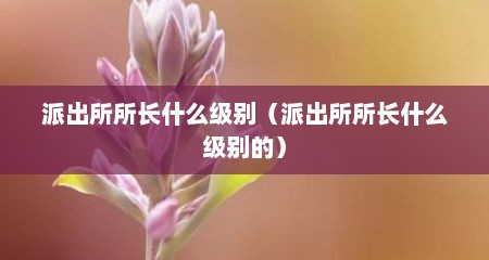 派出所所长什么级别（派出所所长什么级别的）