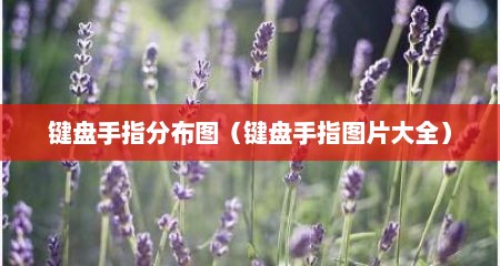 键盘手指分布图（键盘手指图片大全）