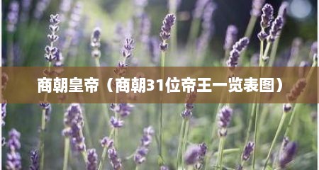 商朝皇帝（商朝31位帝王一览表图）