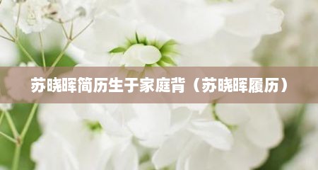 苏晓晖简历生于家庭背（苏晓晖履历）