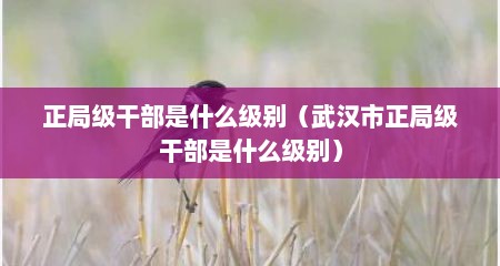 正局级干部是什么级别（武汉市正局级干部是什么级别）