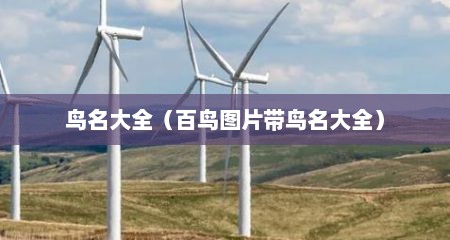 鸟名大全（百鸟图片带鸟名大全）