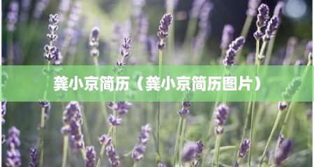 龚小京简历（龚小京简历图片）