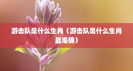 游击队是什么生肖（游击队是什么生肖最准确）