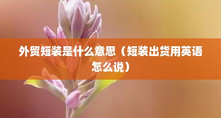 外贸短装是什么意思（短装出货用英语怎么说）
