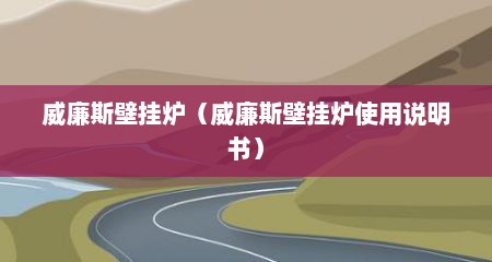 威廉斯壁挂炉（威廉斯壁挂炉使用说明书）