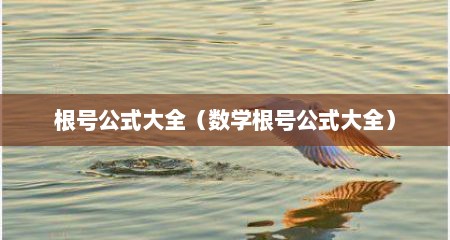 根号公式大全（数学根号公式大全）