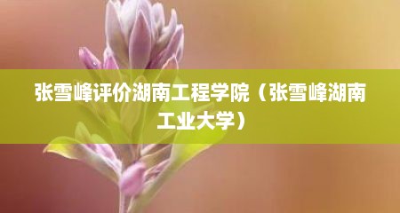 张雪峰评价湖南工程学院（张雪峰湖南工业大学）