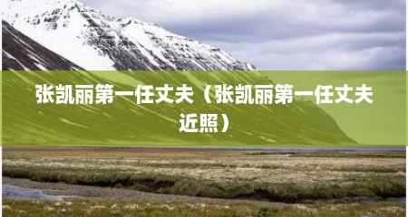 张凯丽第一任丈夫（张凯丽第一任丈夫近照）