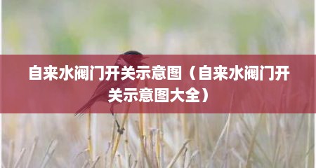 自来水阀门开关示意图（自来水阀门开关示意图大全）