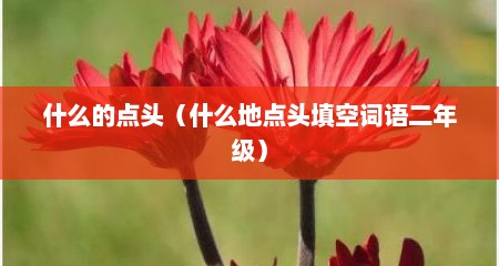 什么的点头（什么地点头填空词语二年级）