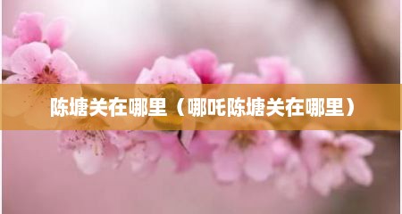 陈塘关在哪里（哪吒陈塘关在哪里）