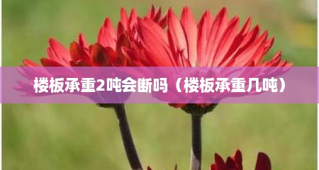 楼板承重2吨会断吗（楼板承重几吨）