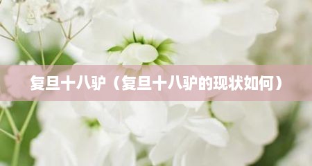复旦十八驴（复旦十八驴的现状如何）