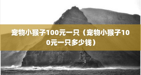 宠物小猴子100元一只（宠物小猴子100元一只多少钱）