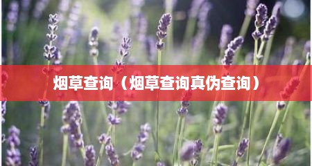 烟草查询（烟草查询真伪查询）