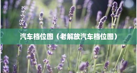 汽车档位图（老解放汽车档位图）