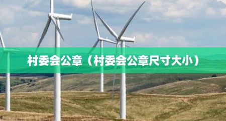 村委会公章（村委会公章尺寸大小）