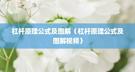 杠杆原理公式及图解（杠杆原理公式及图解视频）