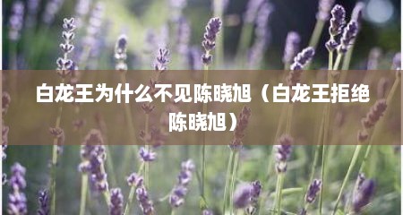 白龙王为什么不见陈晓旭（白龙王拒绝陈晓旭）