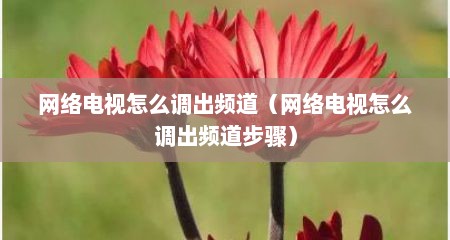 网络电视怎么调出频道（网络电视怎么调出频道步骤）