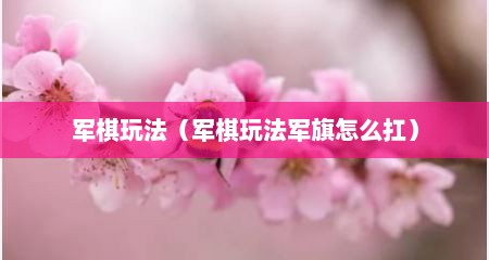 军棋玩法（军棋玩法军旗怎么扛）