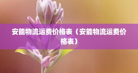 安能物流运费价格表（安能物流运费价格表）