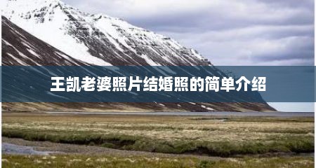 王凯老婆照片结婚照的简单介绍