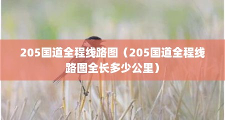 205国道全程线路图（205国道全程线路图全长多少公里）