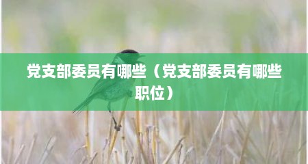 党支部委员有哪些（党支部委员有哪些职位）