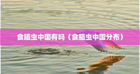 食脑虫中国有吗（食脑虫中国分布）