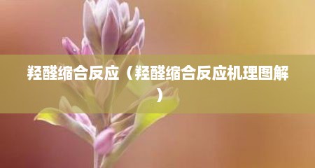 羟醛缩合反应（羟醛缩合反应机理图解）