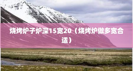 烧烤炉子炉深15宽20（烧烤炉做多宽合适）