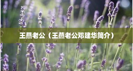王燕老公（王燕老公邓建华简介）