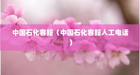中国石化客服（中国石化客服人工电话）