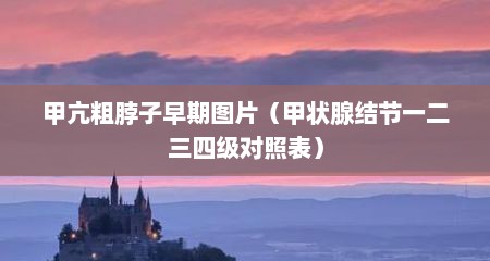 甲亢粗脖子早期图片（甲状腺结节一二三四级对照表）