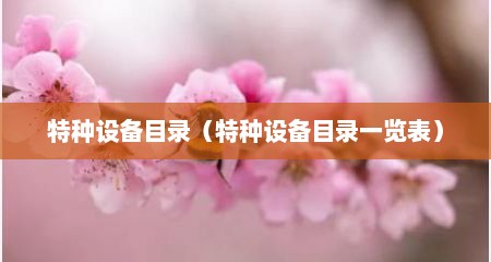 特种设备目录（特种设备目录一览表）