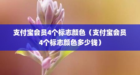 支付宝会员4个标志颜色（支付宝会员4个标志颜色多少钱）