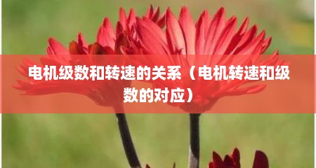 电机级数和转速的关系（电机转速和级数的对应）