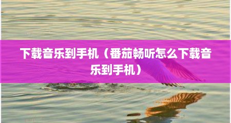 下载音乐到手机（番茄畅听怎么下载音乐到手机）