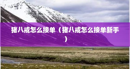 猪八戒怎么接单（猪八戒怎么接单新手）