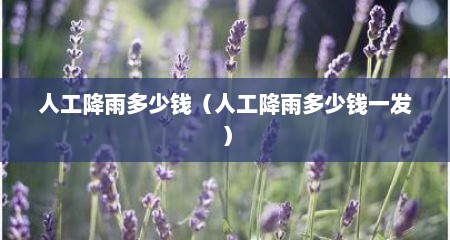 人工降雨多少钱（人工降雨多少钱一发）