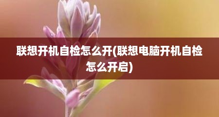 联想开机自检怎么开(联想电脑开机自检怎么开启)