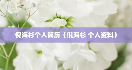 倪海杉个人简历（倪海杉 个人资料）